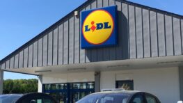 Lidl lance la plaque à induction portable pour cuisiner comme un professionnel