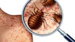 Punaises de lit cet objet à mettre sous son matelas pour toutes les exterminer