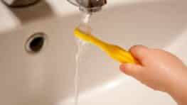 Brosse à dents faut-il la mouiller avant ou après le dentifrice Les dentistes ont tranché