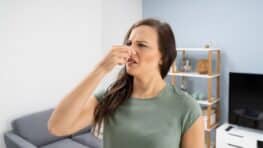 Ce produit génial va supprimer toutes les mauvaises odeurs et l'humidité chez vous