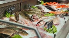 Ce supermarché vend le meilleur poisson de tous selon 60 Millions de consommateurs