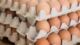 Cette arnaque sur le prix de œufs dans ce supermarché très connu fait des ravages