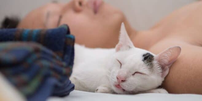 Dormir avec son chat est une très dangereux pour la santé
