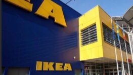 Ikea a une plante qui vous aide à mieux respirer chez vous