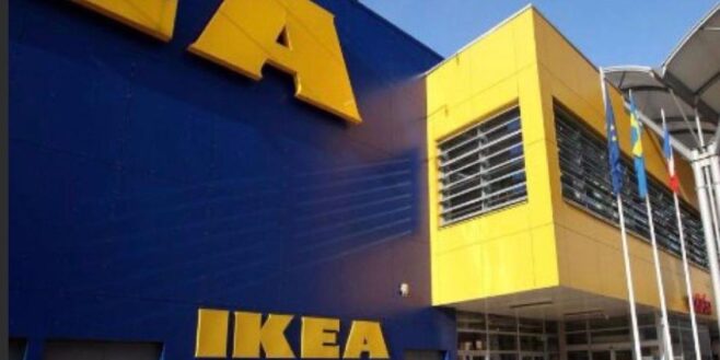 Ikea a une plante qui vous aide à mieux respirer chez vous