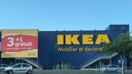 Ikea cartonne avec un porte manteau qui ressemble à un cactus du désert