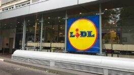 Lidl a trouvé la solution pour chauffer toutes les pièces de la maison rapidement