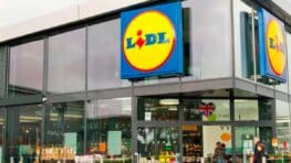 Lidl crée une décoration féérique avec ce magnifique sapin de Noël à prix mini