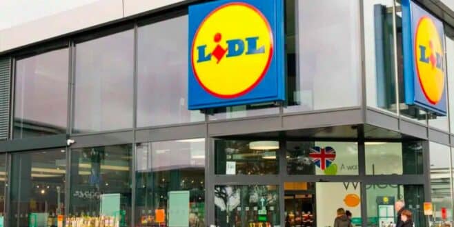 Lidl crée une décoration féérique avec ce magnifique sapin de Noël à prix mini