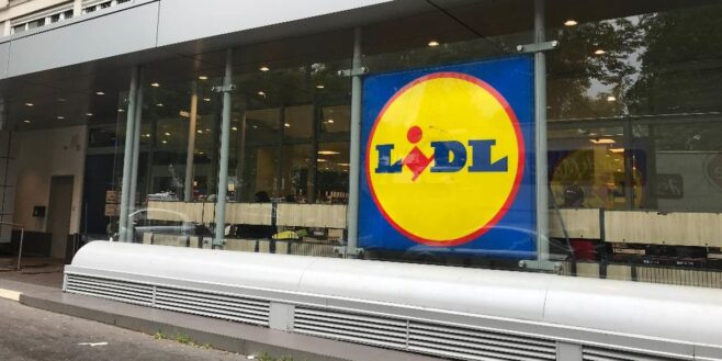 Lidl lance un sapin de Noel ultra design et écologique