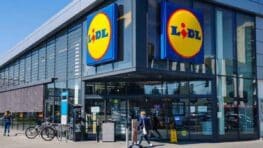 Lidl recrute 1000 responsables pour 2500 euros net sans expérience exigée