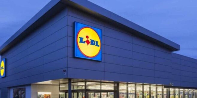 Lidl refuse de prendre vos tickets restaurant pour payer vos courses et voici pourquoi