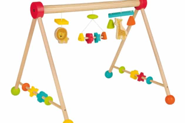 Lidl sort le plus beau jouet d'éveil pour tous les bébés à moins de 15 euros