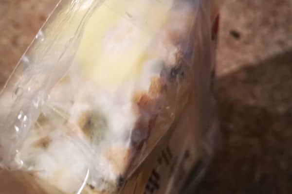 Lidl : un client fait découverte dégoutante dans son paquet de fromage, c'est le choc