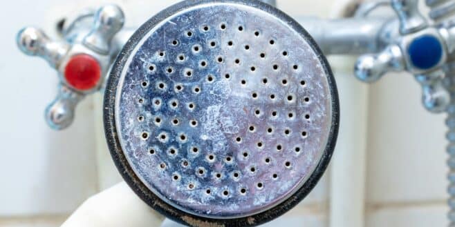 Enlevez facilement tout le calcaire de la douche avec ces astuces