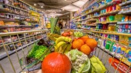 Il sort d'un supermarché Lidl avec un gros caddie sans payer et va vite le regretter