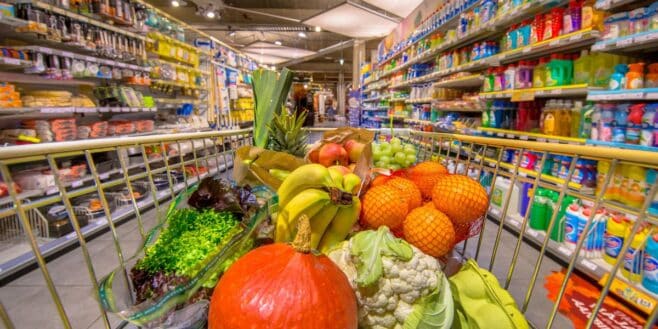 Il sort d'un supermarché Lidl avec un gros caddie sans payer et va vite le regretter