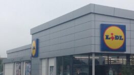 Le gaufrier LIDL avec surface rotative pour réussir toutes ses gaufres facilement