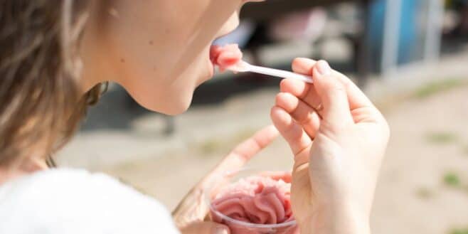 L'électroménager Lidl pour réaliser vos glaces et sorbets été comme hiver
