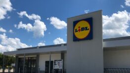 Lidl a trouvé la brosse à dents électrique pour avoir un sourire parfait