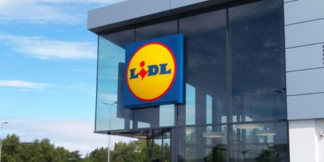 Lidl sort le collier pour chien parfait pour le sortir sans souci même la nuit