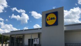 Lidl transforme le traditionnel pull de Noël en robe