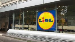 Lidl vend le sapin de Noël qui ne ressemble pas à un sapin de Noël