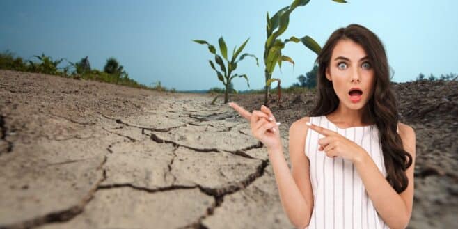 Alerte météo une alerte sècheresse déjà lancée dans ces régions c'est déjà pire que tout