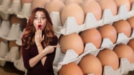 Cette nouvelle loi va faire exploser les prix des œufs et touchés tous les français