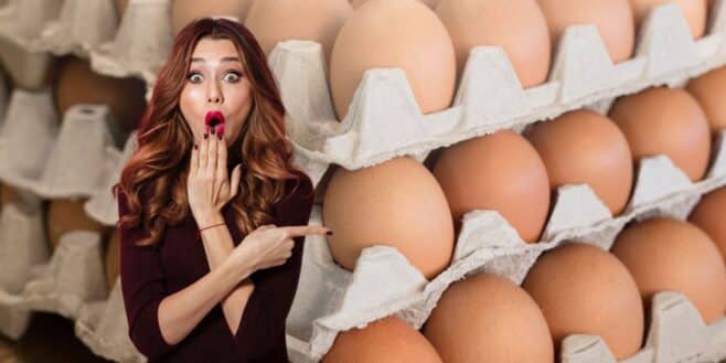 Cette nouvelle loi va faire exploser les prix des œufs et touchés tous les français
