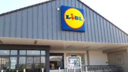 La cheminée électrique Lidl pour décorer le salon et chauffer la maison en quelques secondes