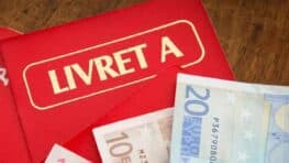 La somme que vous pouvez gagner avec le Livret A et le LDDS en 2024