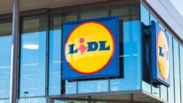 Le lave-vaisselle Lidl sans raccordement à l'eau qui permet d'économiser sur la facture d'électricité