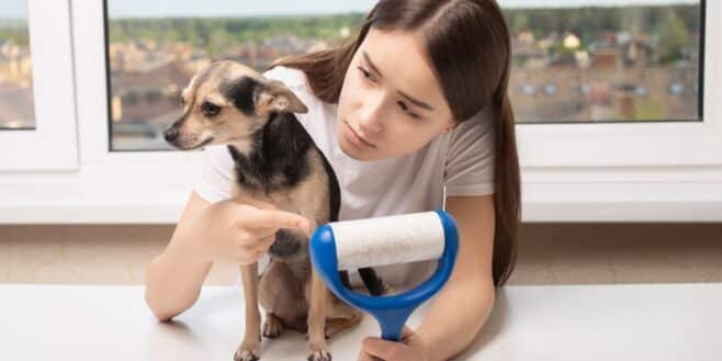 Les 5 meilleures astuces pour nettoyer tous les poils de chiens et chats chez vous