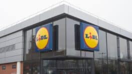 Lidl a trouvé l'appareil qui remplace le fer pour faire son repassage même en voyage