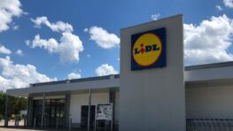 Lidl cartonne avec ce sweat Puma en 3 coloris différents