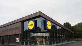 Lidl lance une couverture chauffante très efficace qui élimine le mal de dos