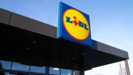 Lidl transforme ce sweat à capuche à fleurs en robe top canon