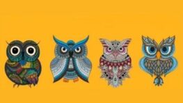Test de personnalité choisis un hibou et découvre ce secret sur toi