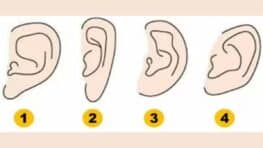 Test de personnalité la forme de vos oreilles révèle un secret sur votre caractère
