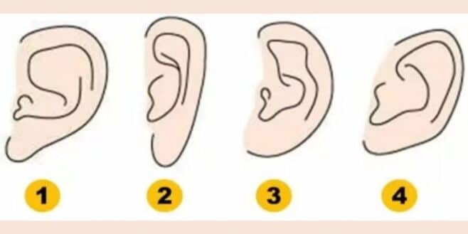 Test de personnalité la forme de vos oreilles révèle un secret sur votre caractère