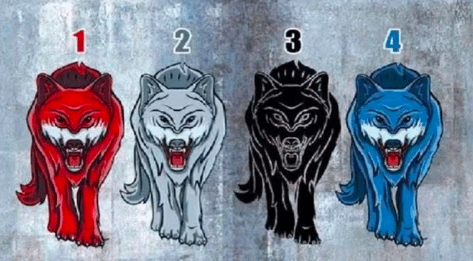 Test de personnalité: le loup que vous choisissez révèle quand vous avez besoin de solitude