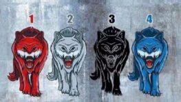 Test de personnalité le loup que vous choisissez révèle un secret sur vous et la solitude