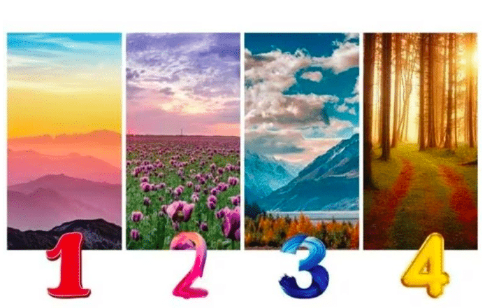 Test de personnalité: le paysage que vous choisissez révèle un secret sur vous
