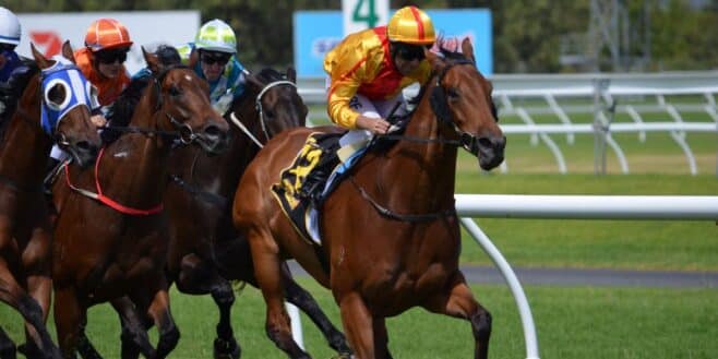 Ce joueur au PMU gagne 150 000 euros et ignore complètement quoi faire avec