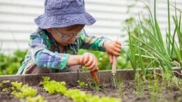 Cet accessoire de jardinage Lidl va vous changer la vie pour moins de 10 euros