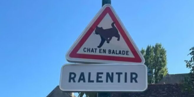 De nouveaux panneaux de signalisation installés pour protéger les animaux