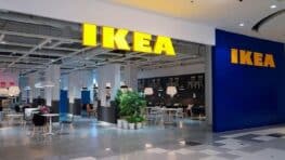 Ikea frappe fort avec cet indispensable dans la maison