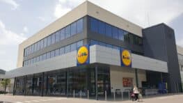 La brosse à dents c'est fini Lidl a déjà trouvé son remplaçant pour des dents parfaites