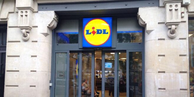 Le nouveau mixeur de smoothies Lidl qui cartonne en France